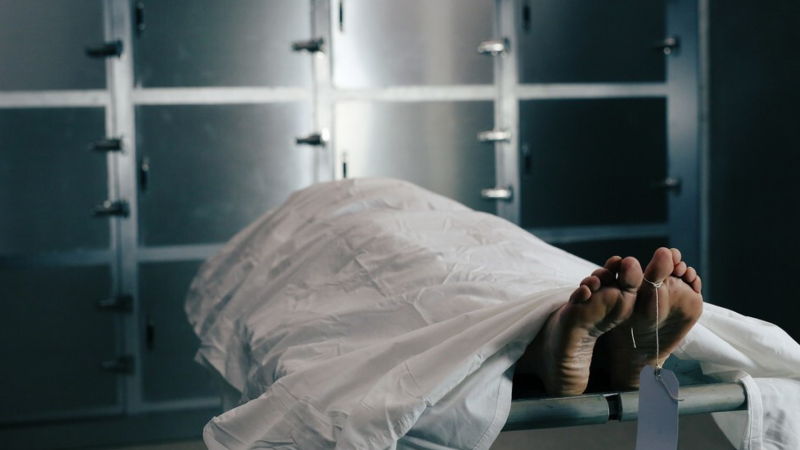 Gəncədə mənzildə meyit aşkarlanıb