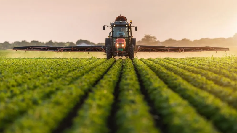 Bitkiçilik məhsullarının istehsalı artıb