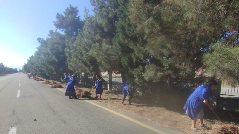 Hava limanı yolunda iməcilik keçirilib