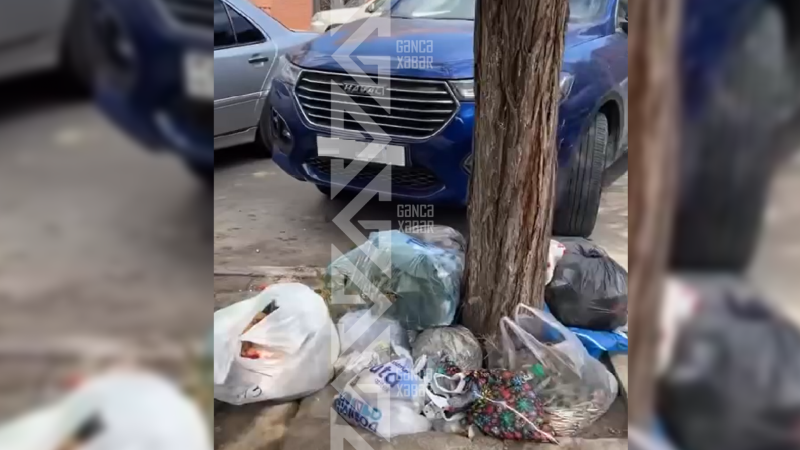 Məktəbin yaxınlığındakı natəmizlik valideynləri narahat edir