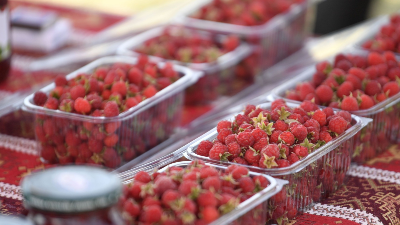 Göygöldə Moruq Festivalı keçirilib