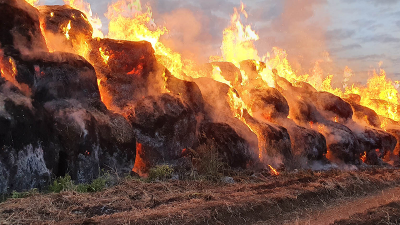 Şəmkirdə 8 ton ot bağlaması yanıb
