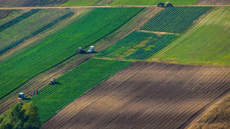 Dörd ədəd torpaq sahəsi icarə üçün müsabiqəyə qoyulacaq