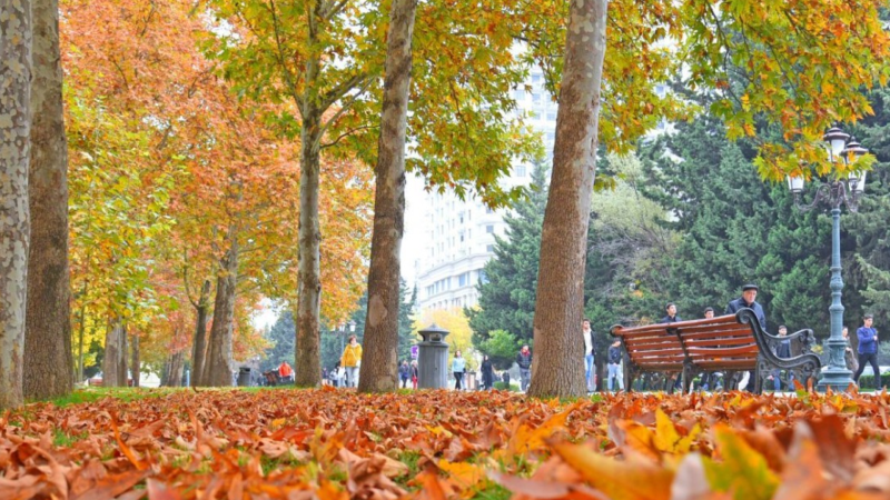Bu həftə Azərbaycana payız fəsli daxil olacaq