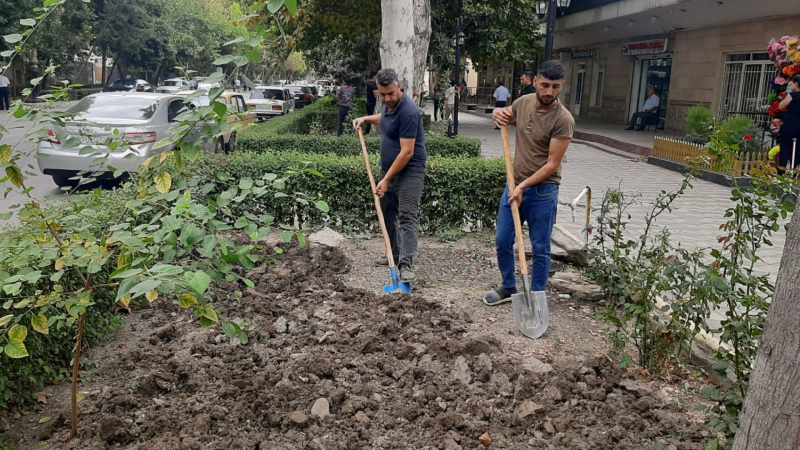 Gəncəbasarın iri şəhərlərində abadlıq işləri görülüb