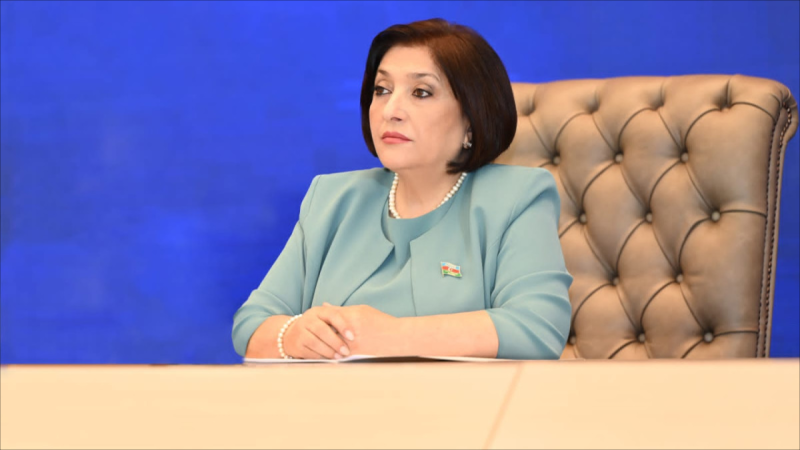 Sahibə Qafarova Milli Məclisin sədri seçilib