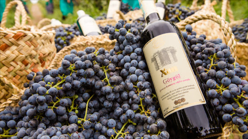 Göygöl Şərab Zavodunda dəyişiklik ediləcək