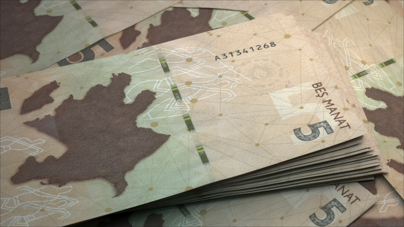 Gəncədə şirkətlərdən biri zərərlə işləyir