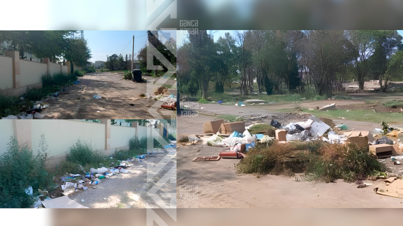 Gəncədə məktəbə gedən yol zibillikdən keçir