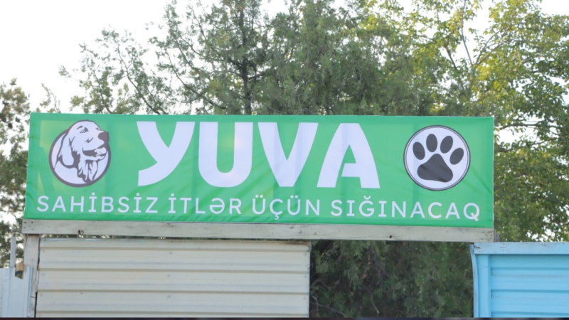 “Yuva” sahibsiz itlər sığınacağında vakansiya yaranıb