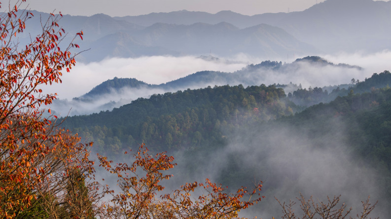 Gəncə-Qazax bölgəsinə yağıntı düşüb