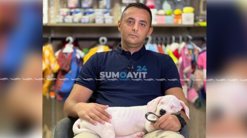 Mütəxəssis məsləhəti: “Küçə itlərindən qorunmağa ehtiyac yoxdur, qıcıqlandırmamaq yetərlidir”