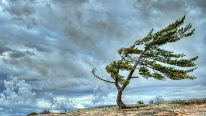 Bölgəmizdə güclü külək əsəcək – XƏBƏRDARLIQ