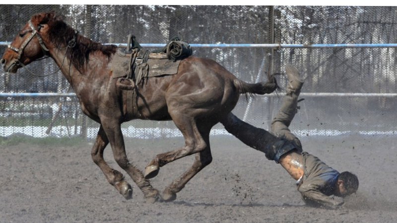 42 yaşlı kişi atdan yıxılaraq öldü