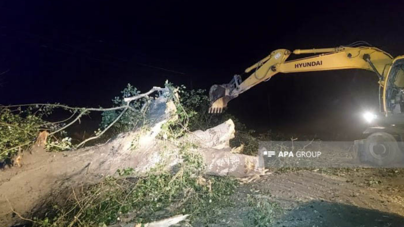 Goranboyda külək fəsadlar törədib