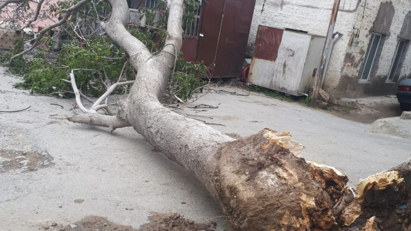 Təbiət hadisələrinin şəxsi mülkə vurduğu zərəri kim ödəməlidir? - AÇIQLAMA