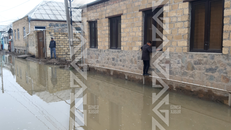 Gəncədə evləri su basıb