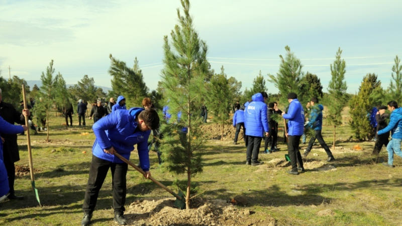 Azərbaycanda 1 milyondan çox ağac əkiləcək