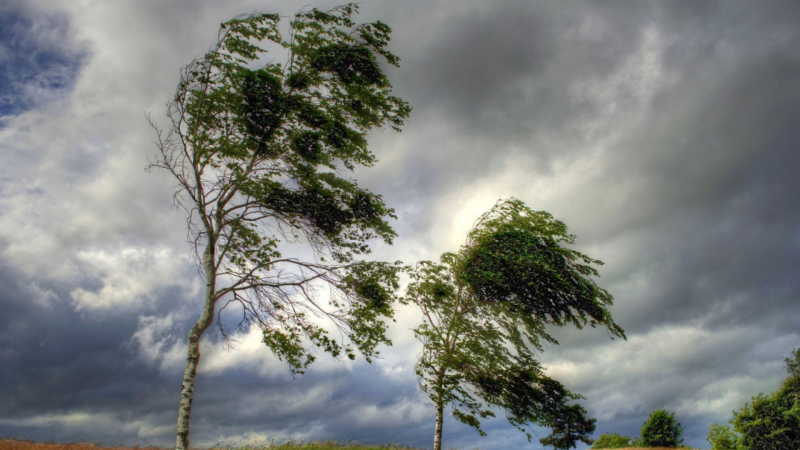 Qərb bölgəsində küləyin sürəti artacaq