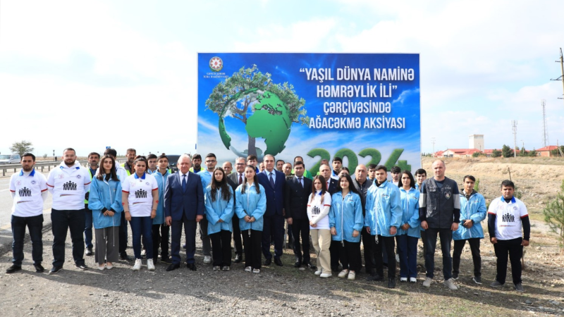 Gəncədə genişmiqyaslı ağacəkmə aksiyası keçirilir
