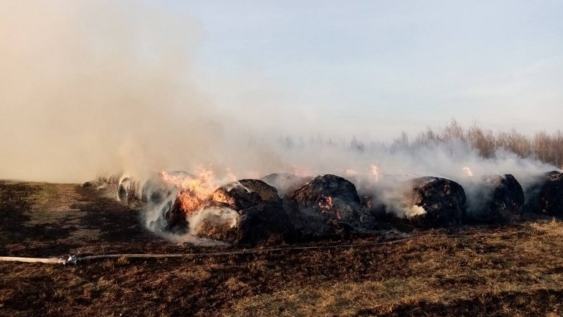 Tovuzda tonlarla ot bağlaması məhv olub