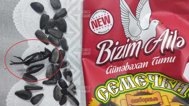 “...İçərisindən qovurulmuş çəyirtkə çıxdı” - Gəncə sakininin şikayəti