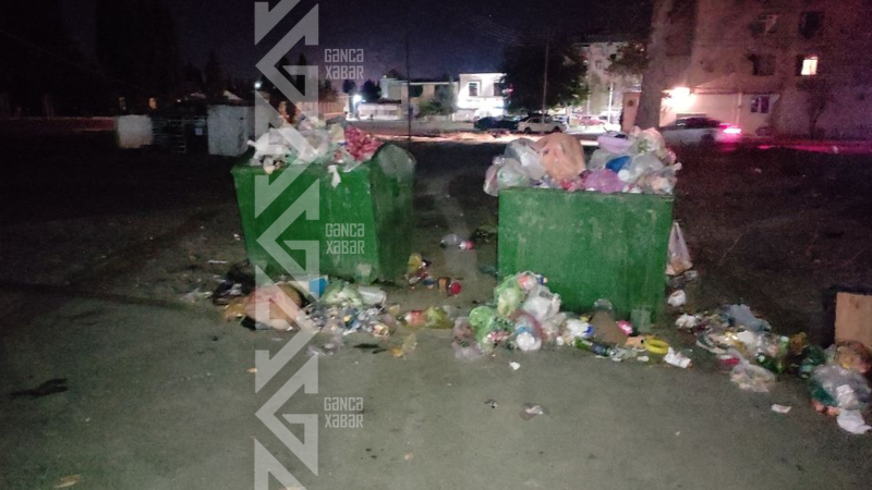 Gəncədə bağçanın ətrafı zibilliyə çevrilib