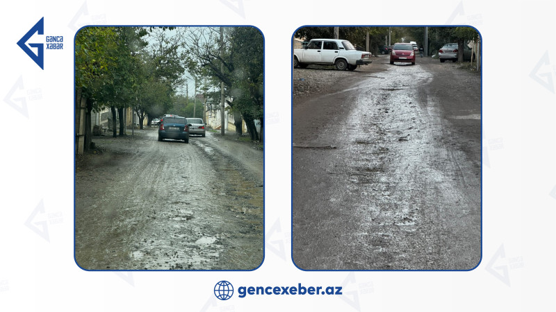 Gəncənin Aşıq Ələsgər küçəsində bitməyən PROBLEMLƏR