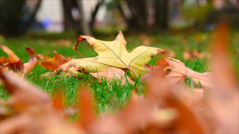Sabah hava yağmursuz keçəcək - HAVA PROQNOZU