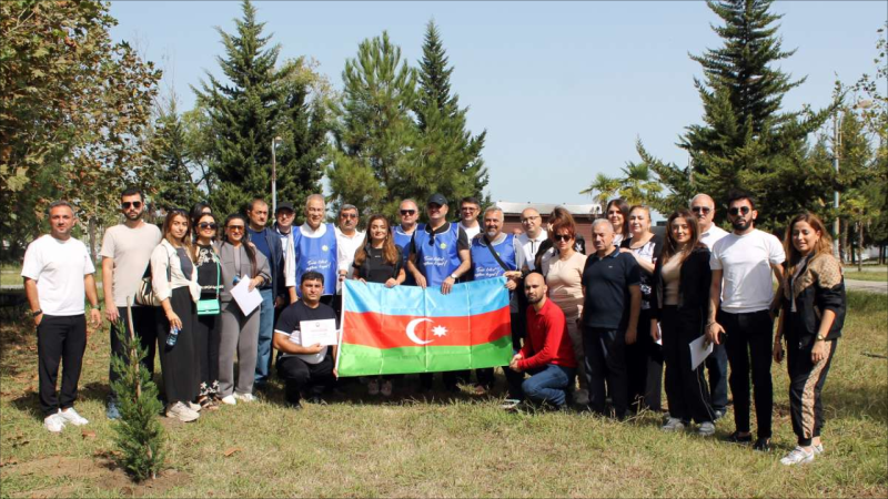 Ağacəkmə aksiyaları keçirilib