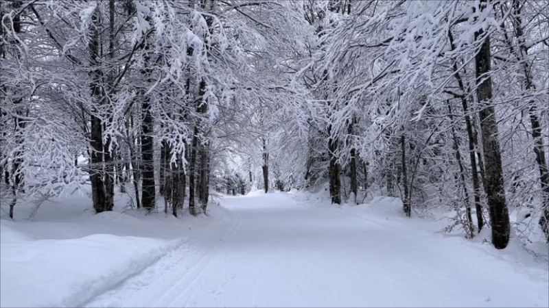 Bu ərazilərə qar yağdı