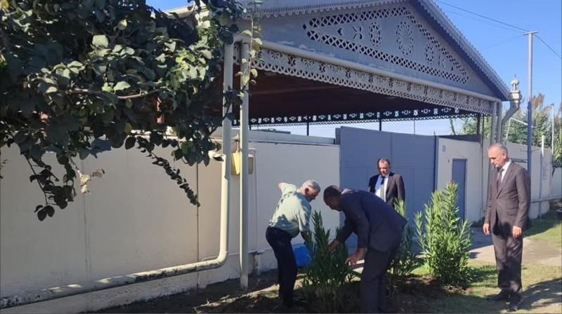 Goranboyda ağacəkmə aksiyası davam etdirilir