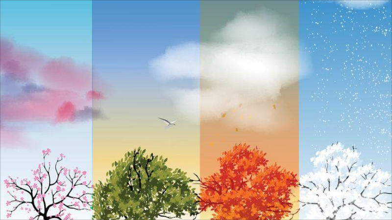 2025-ci ildə fəsillər Azərbaycana bu vaxt daxil olacaq