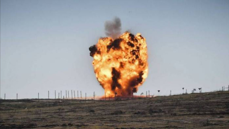 Heyvanlar minaya düşüb