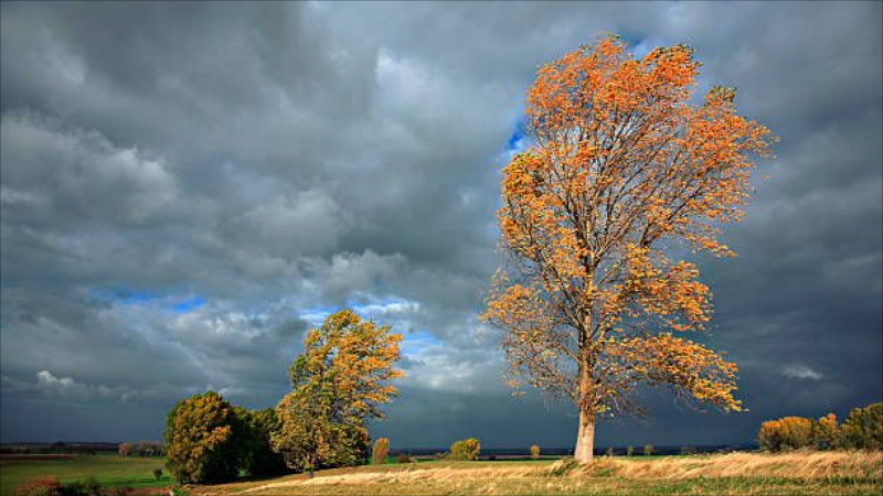 Sabah hava əsasən yağmursuz keçəcək - PROQNOZ