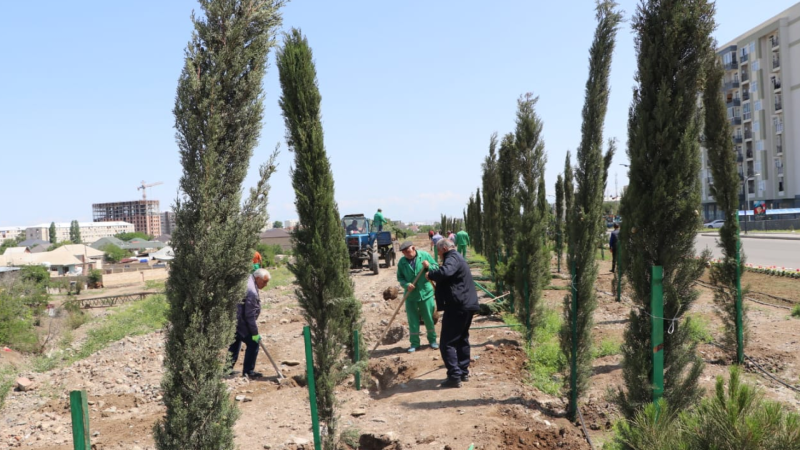 Qərb bölgəsində minlərlə ağac əkilib