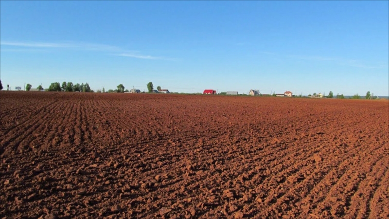 Rayonlarda bələdiyyə torpaqları satışa çıxarılacaq