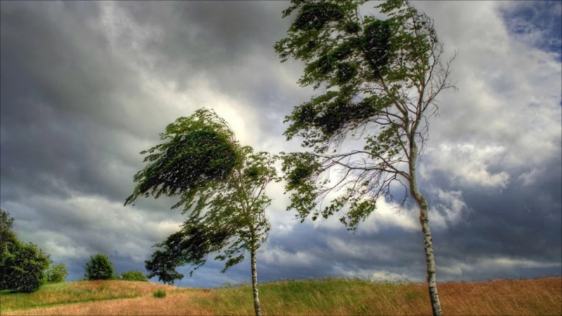 İstirahət günü hava necə olacaq?