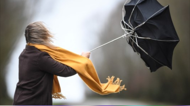 Bu rayonlarda külək güclənəcək - XƏBƏRDARLIQ