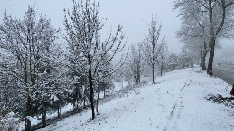Qar yağıb, duman olub - FAKTİKİ HAVA