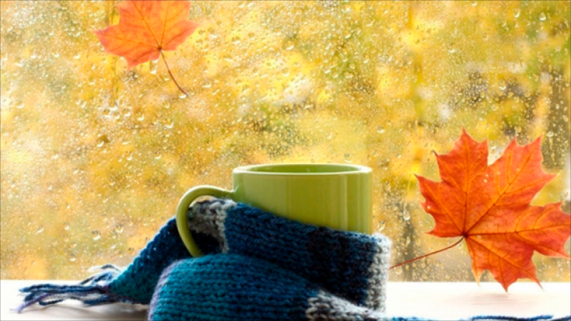 Dekabrın ilk günü hava necə olacaq?