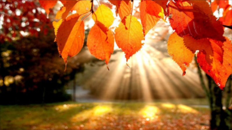 Sabah hava necə olacaq?