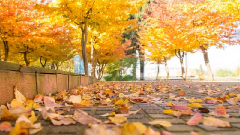 Sabahın hava PROQNOZU