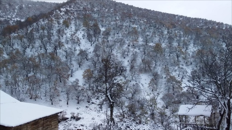 Gədəbəyə qar yağır – FAKTİKİ HAVA