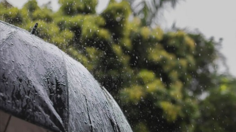 Sabah Gəncədə hava necə olacaq? - PROQNOZ