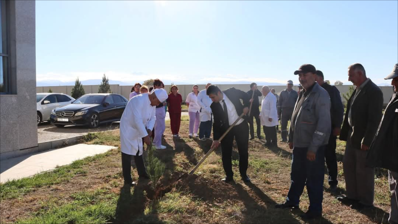 Goranboyda ağacəkmə aksiyası davam edir