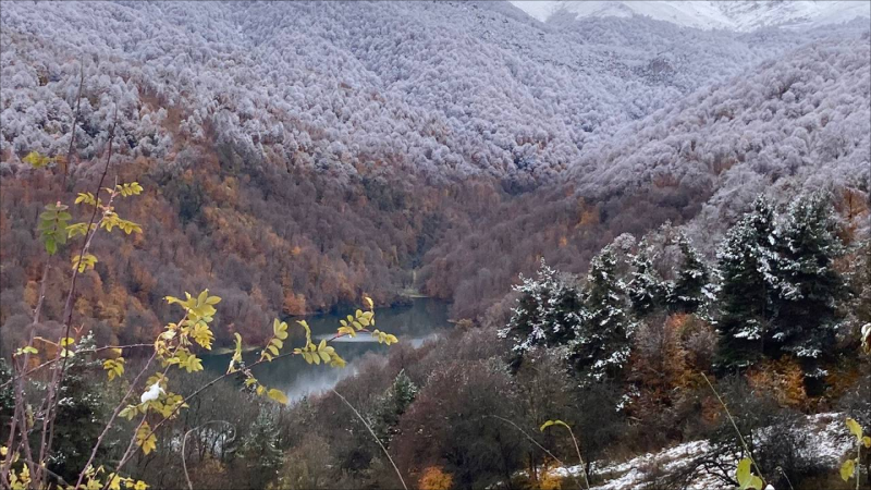 Milli parklara giriş ödənişsiz olacaq