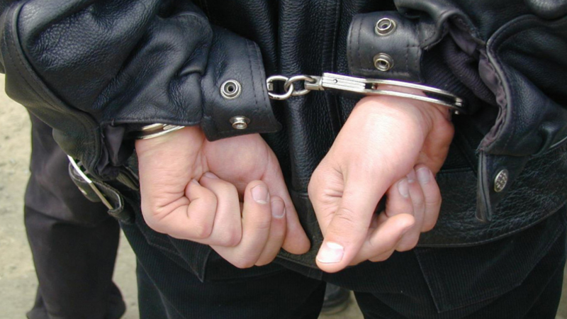 Heyvan oğrusu saxlanılıb