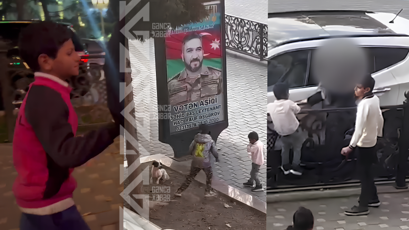 Gəncə küçələrində QARAÇILAR sakinlərə PROBLEM yaradır - VİDEO