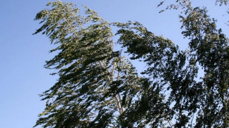 Qərb bölgəsində SARI XƏBƏRDARLIQ VERİLİB